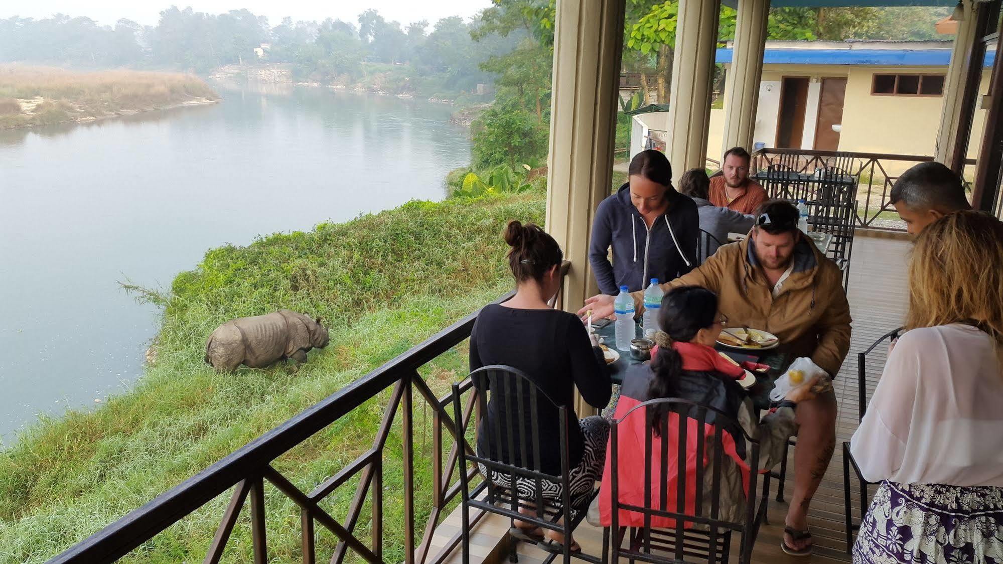 Hotel Wildlife Camp Sauraha Eksteriør bilde