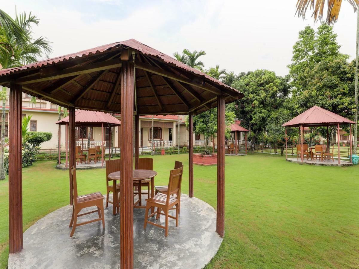 Hotel Wildlife Camp Sauraha Eksteriør bilde